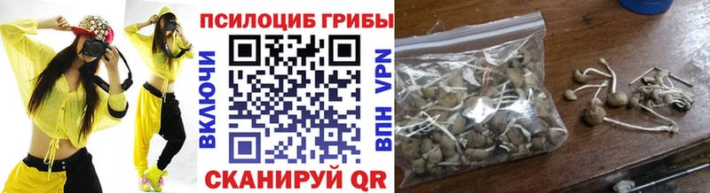Псилоцибиновые грибы Psilocybine cubensis  Купить закладки  Гусь-Хрустальный 
